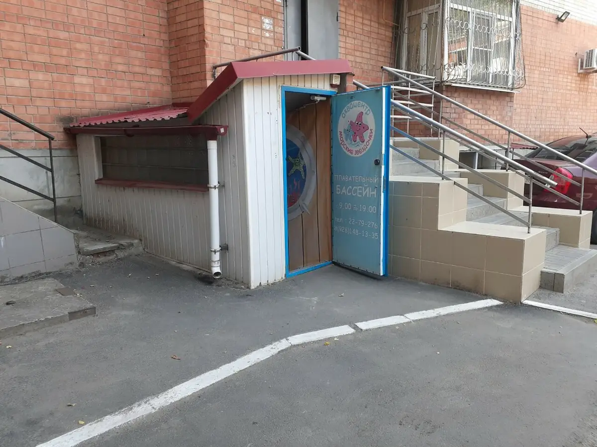 Морские Звездочки — фото 3
