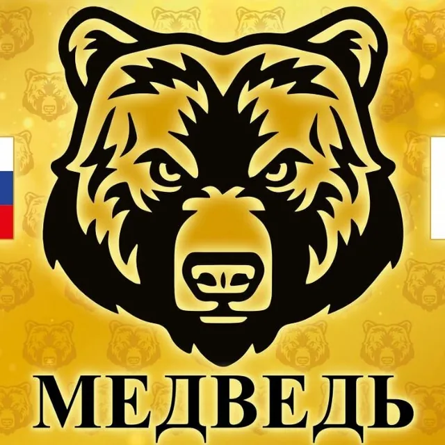 Медведь на ул. Ларина, 4