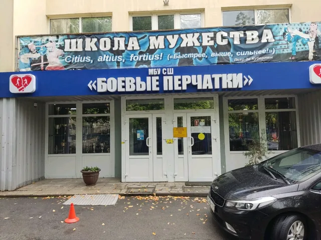 Боевые перчатки