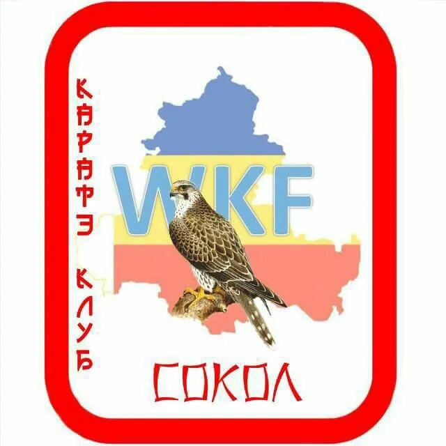 Сокол на ул. Еляна, 68 — фото 1