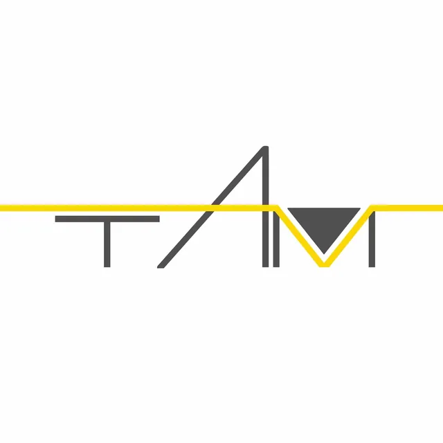 Школа архитектуры и искусств Там