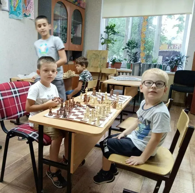 Шахматы